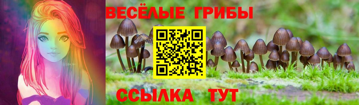 Галлюциногенные грибы Cubensis  Вход с VPN  Красный Сулин  Псилоцибиновые грибы MAGIC MUSHROOMS 